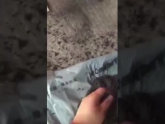 Top gübre granülasyonu çalışma videosu