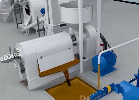XDEM Palm Kernel Shell Peeling Crushing Oil Press Machine Otomatik Palm Nut Cracking ve Ayrımlama Sistemi