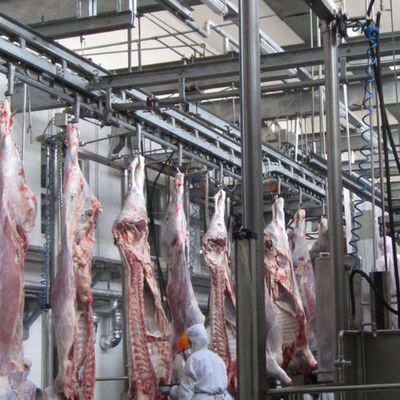 Stainless Steel Slaughtering Equipment with PLC Control and GB Standard for Efficient Meat Processing