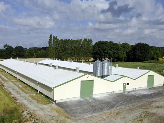 XDEM Çelik Yapı Depo Üretim Atölyesi Tavuk Ve Tavuk Çiftliği