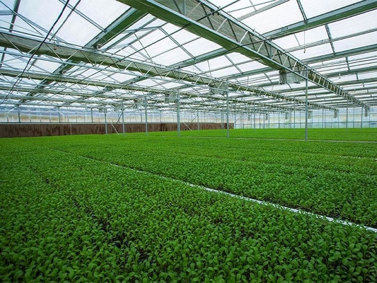 Prefabrik Hafif Çelik Yapı Tarımsal Sebze Serası Q235 ISO9001